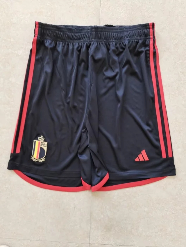 AAA Quality Belgium 2022 World Cup Home Jersey(Player)